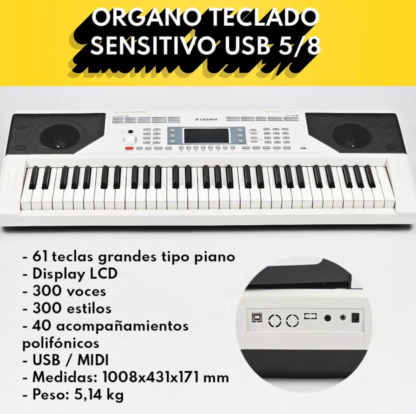 Teclado SENSITIVO cinco octavas marca PARQUER k180W,300 sonidos 300 ritmos,salida USB  y auriculares ,audio - Imagen 7