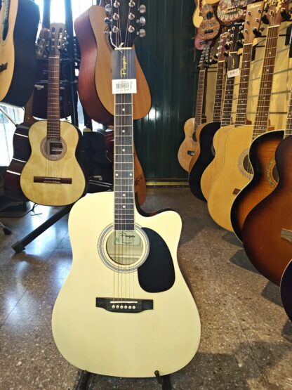 Guitarra electroacústica con equalizador activo 5 bandas ,marca PARQUER,trastes de alpaca,cenefa,incluye funda
