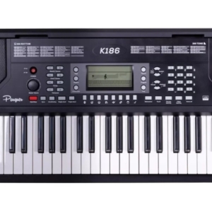 Teclado sensitivo 5 octavas PARQUER modelo K186BK,300 sonidos alta calidad 300 acompañamientos display retroluminico, rueda de inflexión altura tonal