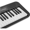organo CASIO CT-S200,cuenta con 400 sonidos alta calidad,77 acompañamientos,48 notas de polifonia,inluye atril,manual,fuente de alimentacion,teclas grandes tipo piano - Imagen 2