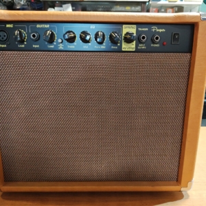 Equipo para guitarra ACUSTICA o ELECTROCRIOLLA,marca PARQUER,30w,con dos entradas,una balanceada para micrófono y otra para la guitarra,con efecto reverberancia,y entrada auxiliar,celular etc.salida auricular,equalizacion paramétrica