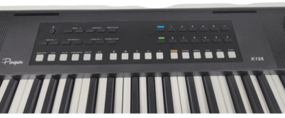 Teclado marca PARQUER cinco octavas,61 teclas modelo K196 sensitivo,con BT 300 sonidos ,300 ritmos  dual voces,USB,salida audio,entrada para pedal SUSTAIN, - Imagen 4